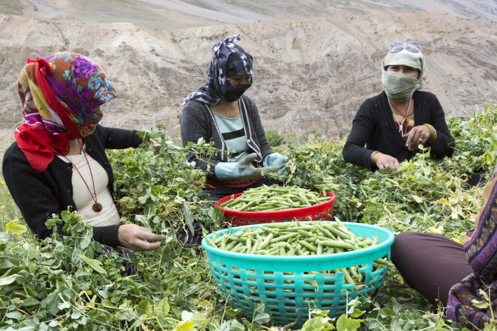Spiti Valley weather in May