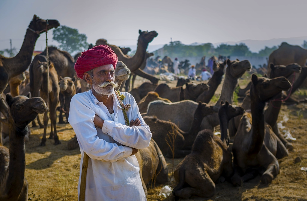 pushkar camel fair