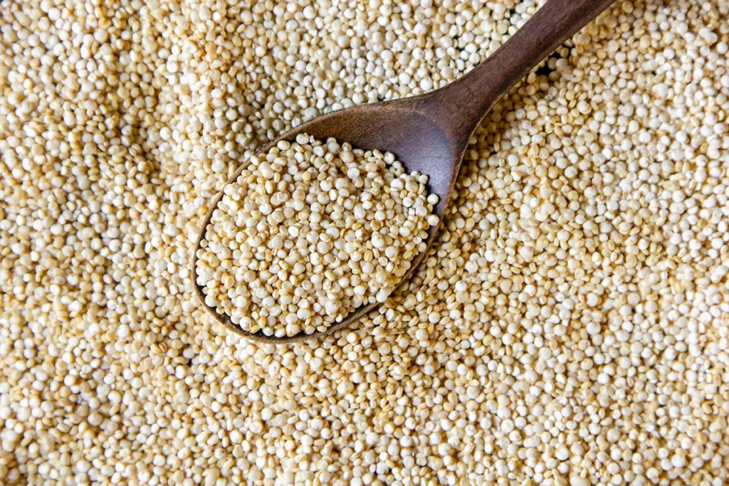 Quinoa seeds