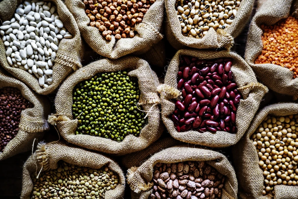 Legumes protein
