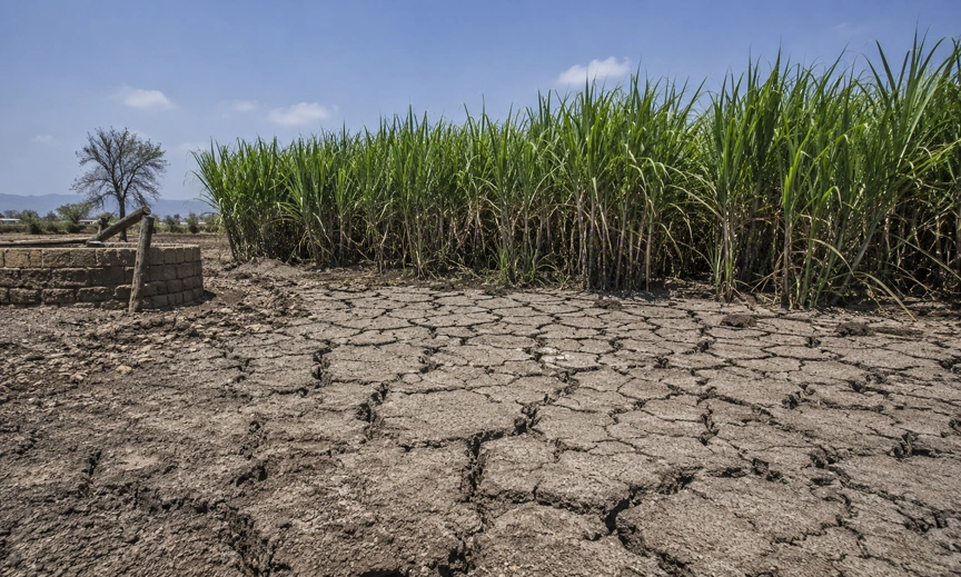 ethanol blending India