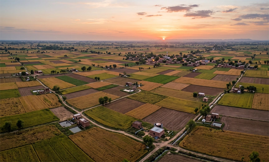 Aerial view of Punjab farmland showing the density of tubewells driving the groundwater crisis